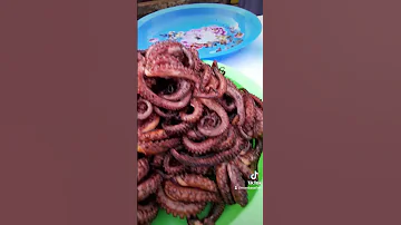 Fried Octopus Delicious Seafood Fish Seafood Samaki Cooking Pweza 