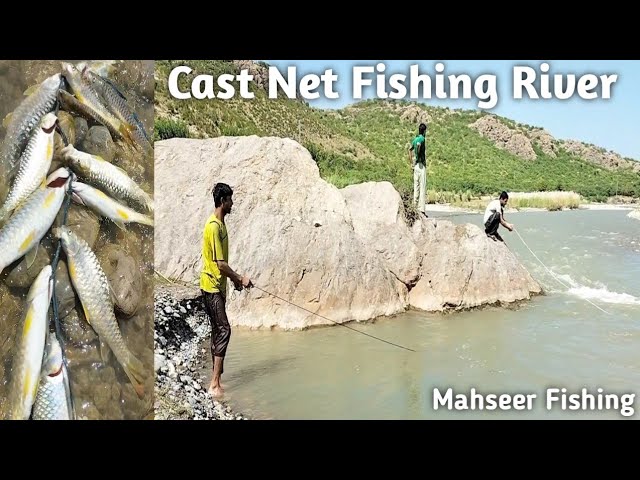 net fishing in village river  how to catch fish in river with net