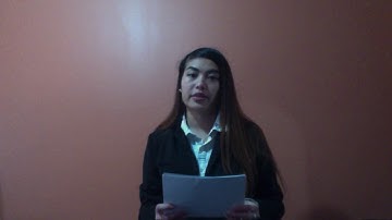 Persuasive speech CST 341