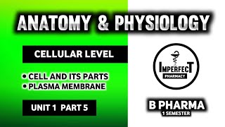 Cell | Parts Of Cell | Human Anatomy And Physiology | HAP | B Pharma First Semester