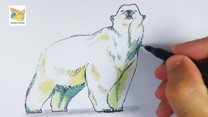Comment Faire Un Ours Polaire En Dessin Video Comment Dessiner Un Visage D'ours Noir