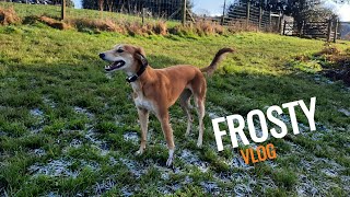 FROSTY MORNING WITH THE PACK | FIRST VLOG by Arn Edward 46 views 5 months ago 13 minutes, 15 seconds