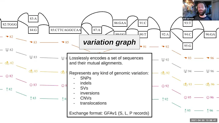 Building pangenome graphs