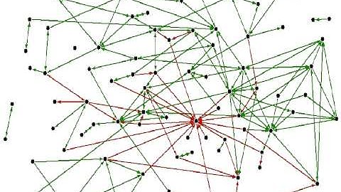 Time evolution of a friend/enemy network