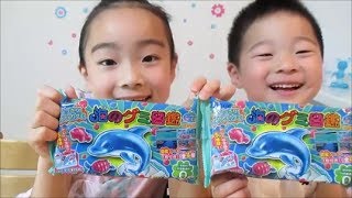 Kracie 知育菓子 海のグミ図鑑／Kracie educational confectionery. Gummy picture book of the sea