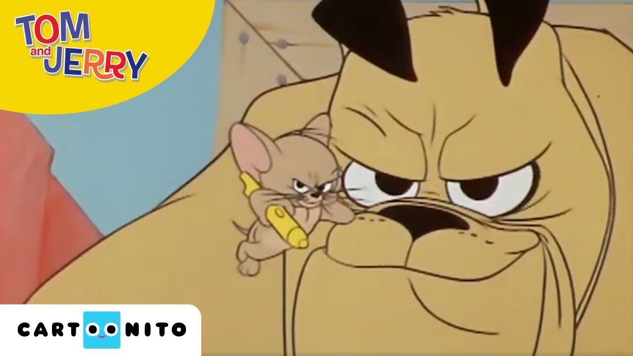 Jerrys babysitter Tom & Jerry Cartoonito For børn YouTube