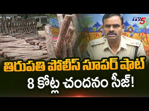 Huge Red sandal Seized by Tirupati Police Value of 8 Crore | AP News | TV5 News - TV5NEWS