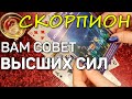 СКОРПИОН. ВАМ СОВЕТ ОТ ВЫСШИХ СИЛ НА ДЕКАБРЬ 2020. ПРЕДСКАЗАНИЕ ТАРО. Гадание оналйн на картах таро