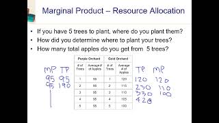 Famous Optimal Allocation of Resources Wealth