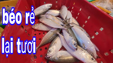 Chợ cá đồ vô quá nhiều tôm sáng ế.cá biển rẻ đẹp.