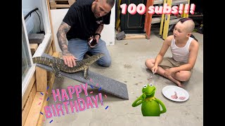 Anubis the Nile monitor turns 1 &amp; 100 subscribers!!!