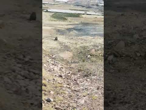 اهم شرح لكتاب قطر الندى وبل الصدى لابن هشام رحمه الله