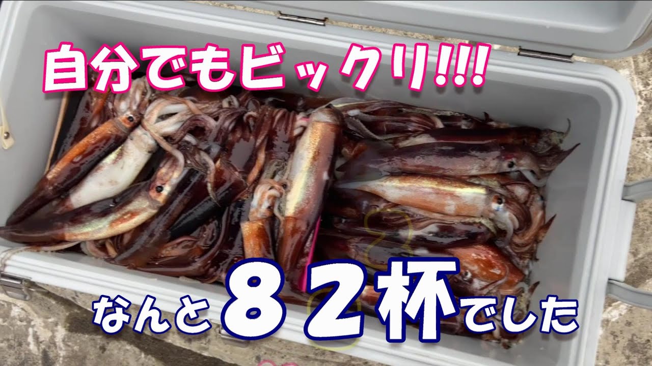 北海道で気ままにゴムボートfishing マグロのナブラを待ちながらイカ釣り 入れ食いでした Youtube