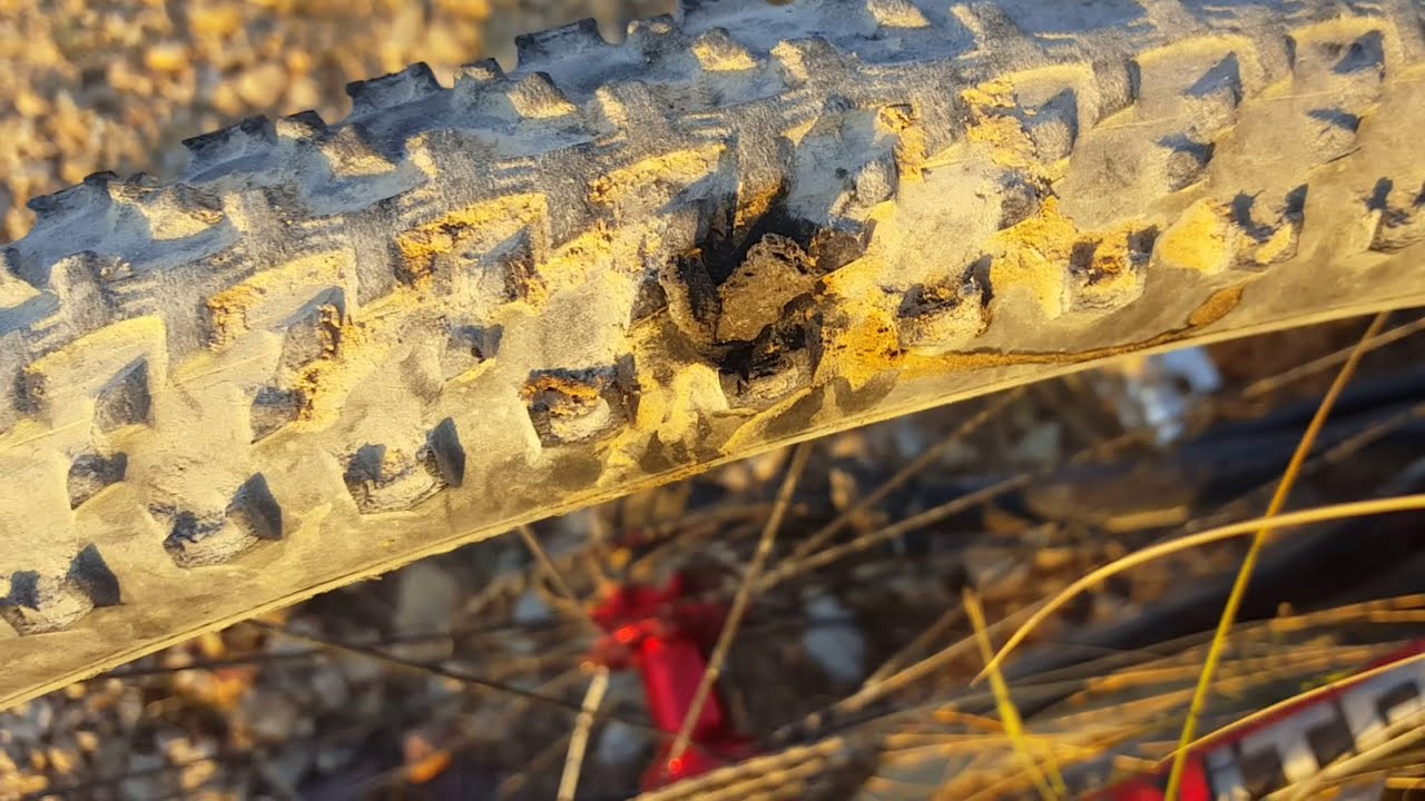 Cruda realidad ciclista montaña pinchazo rueda tubelizada y arreglo con  mechas 