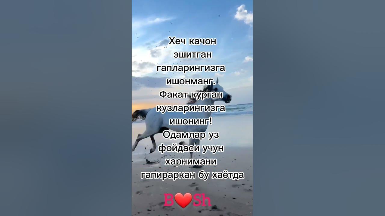 ХУЛОСА - YouTube