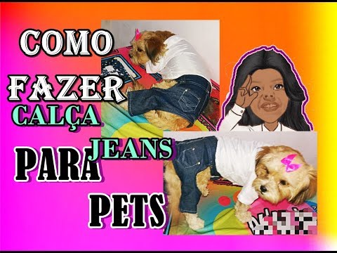 Vídeo: Como fazer buracos no colar do seu cão