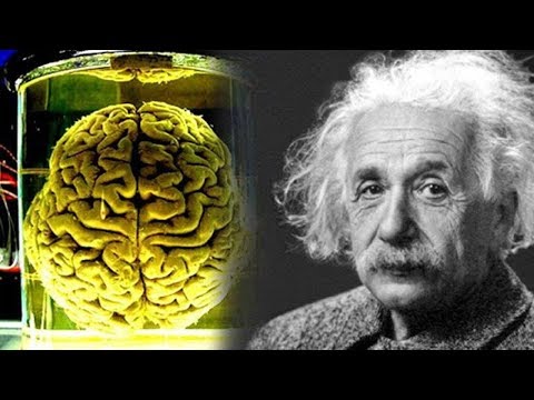 अल्बर्ट आइंस्टीन का विशेष विशेष ? कैसे अल्बर्ट आइंस्टीन का दिमाग वास्तव में दूसरों से अलग है