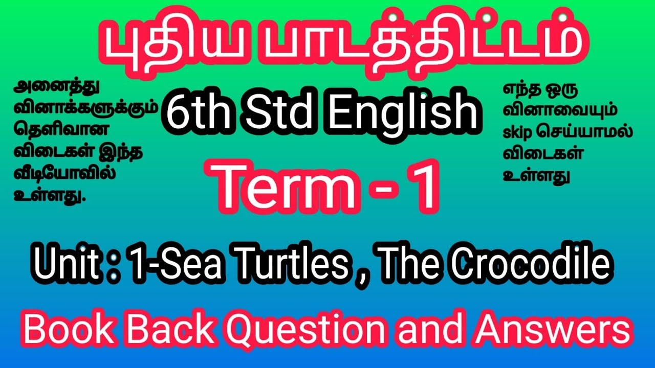 6th Std English Sea turtles Book back question and answer Term 1