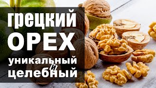 Что может грецкий орех и от чего спасает при ежедневном употреблении? Польза и вред