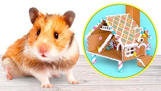 Casita de Jengibre de cartón para la diversión de los Hamsters