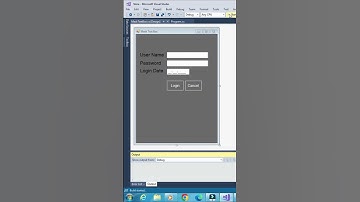 C# How to Use Mask Text box