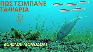 ΠΩΣ ΤΣΙΜΠΑΝΕ ΤΑ ΨΑΡΙΑ 3 - ΨΑΡΕΜΑ ΜΕ ΔΟΛΩΜΑ ΜΟΝΟΔΟΛΙ