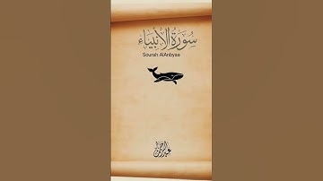 وذا النون إذ ذهب مغاضبا القارئ عبدالرحمن ناصف 🎧📻