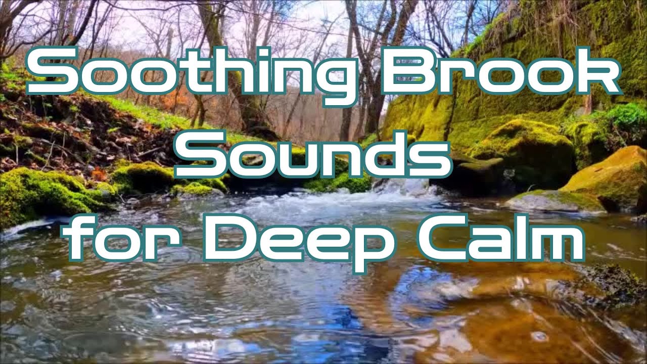Peaceful Babbling Brook 🌿 | 90 Minutes of Calming Nature Sounds - YouTube