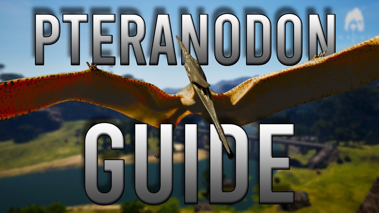 Описание птеранодона с острова Эврима: полное руководство и подробный анализ.