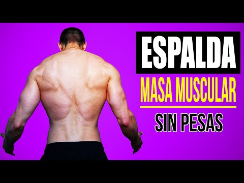 Rutina de ESPALDA EN CASA SIN PESAS y SIN BARRA 💥 Ejercicios para ESPALDA EN CASA SIN EQUIPO