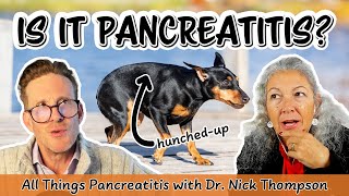 Does My Dog or Cat Have Pancreatitis?