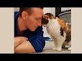 Have the love of a cat is to have the world   cute ways cats show their love for owner