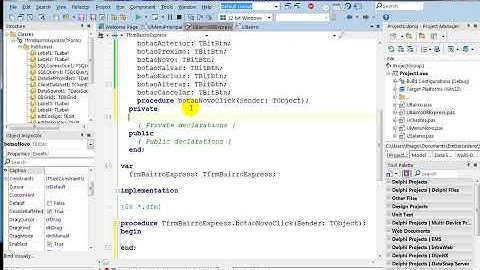 aula 6514 delphi 10 seattle personalizando botoes imagens e procedure limpar campos