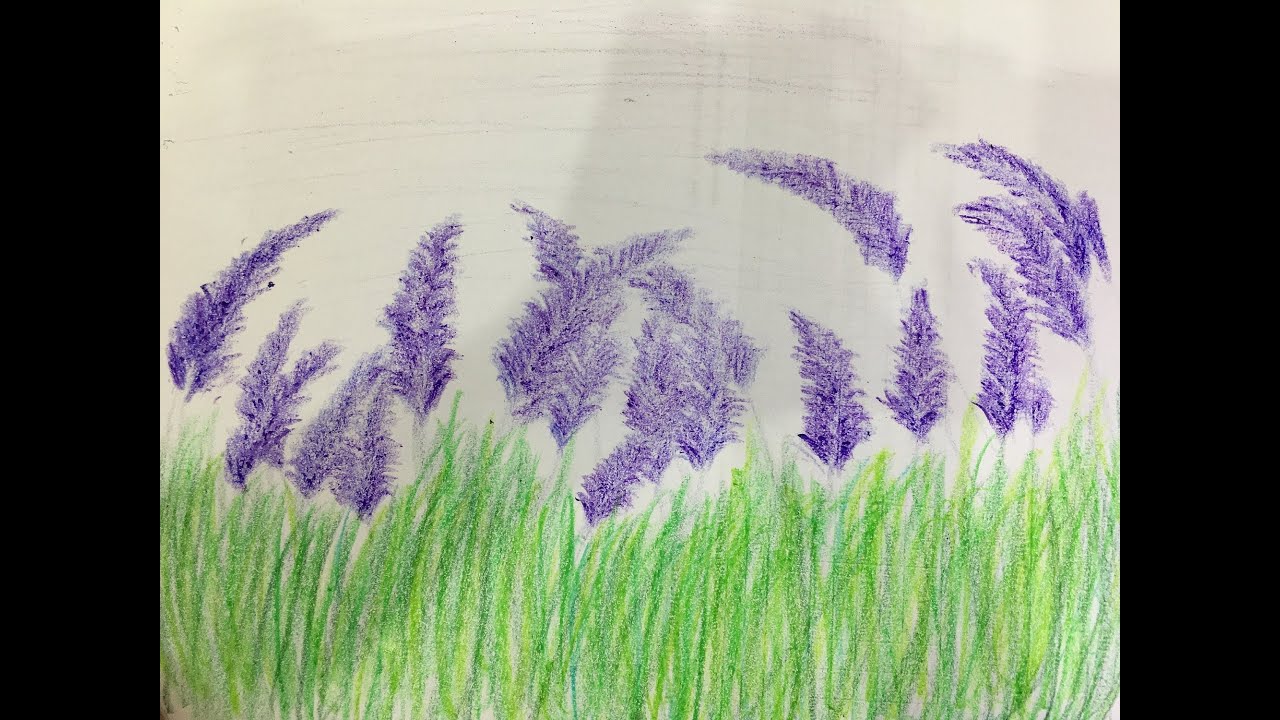 Cách Vẽ Hoa Oải Hương Bằng Sáp Màu Đơn Giản - Youtube