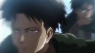 Levi Edit - Young blood