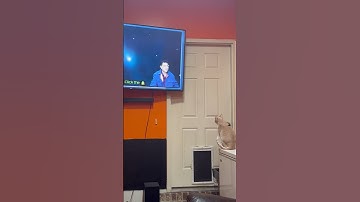 Ray, even my cat loves your videos of 3I/ATLAS! Keep up the great work! We love your pictures!