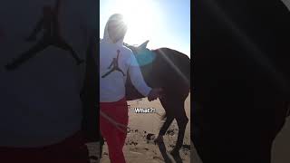 Avoid This Horse Ride Scam In Casablanca! 🇲🇦