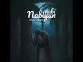 Nabiyun Nabi ((Slowed + Reverb)) Mp3 Song
