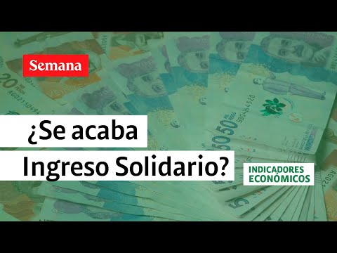 Ingreso Solidario en Colombia dejaría de existir en 2023, en gobierno Petro