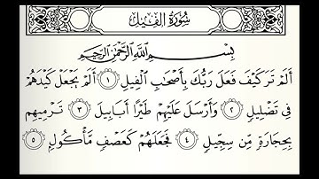 سورة الفيل القارئ تميم الريمي