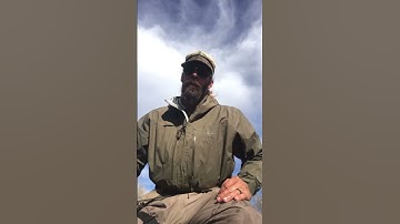 #my #potential #new Sculpin￼ #streamer #pattern #got #hit #by #this #rainbowtrout #youtubeshorts ￼