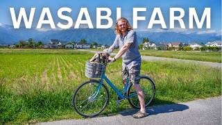 Daio WASABI FARM in Japan  | Exploring RURAL JAPAN by Bike on a Day Trip from Matsumoto