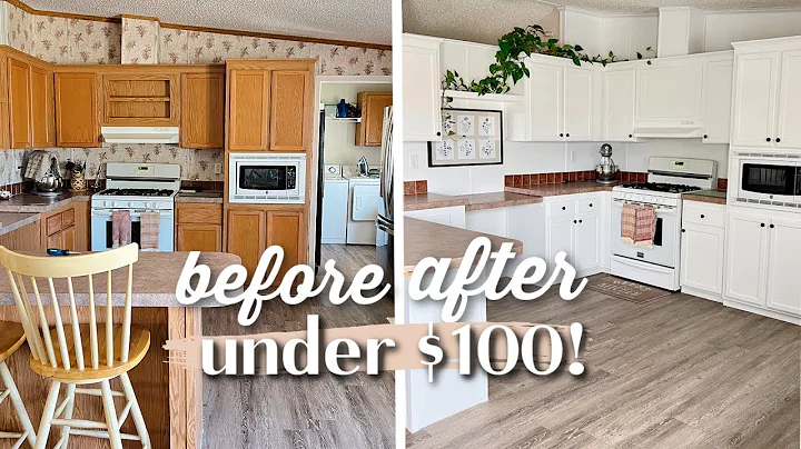 BUDGET UNDER $100 EASY DIY MAKEOVER & KITCHEN ORGANIZATION HOME ROOM MAKE OVER DECORATE WITH ME