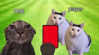 CAT MEMES Everyday life of a football referee