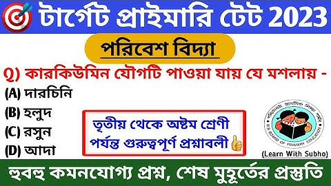 Primary Tet EVS Class 2023 | Primary Tet Preparation 2023 | WB Primary Tet Preparation 2023