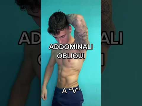Addominali obliqui a