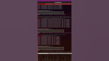 Script Shreds History 🧹 Replaces with Fake Commands #coding #programming #vscode