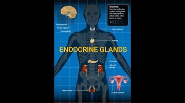 STS JODA | ICSE BIOLOGY Std 8 | Chapter 5 | Endocrine System and Adolescence Part 1