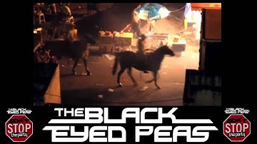 The Black Eyed Peas - Don