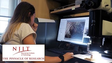 The Pinnacle of Research at NJIT | The College Tour